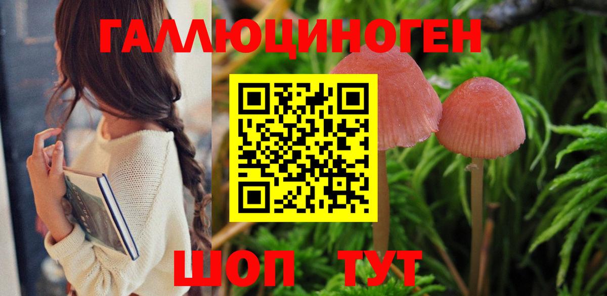 Саянск  Псилоцибиновые грибы GOLDEN TEACHER  Вход с VPN 